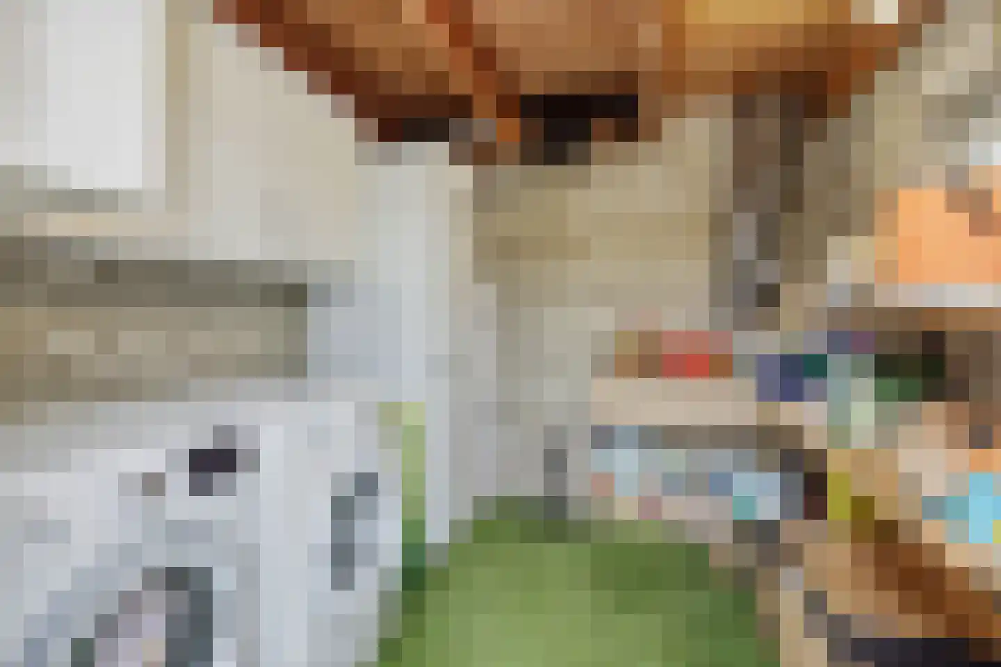 Abelenstraat 7 Geffen thumbnail 33