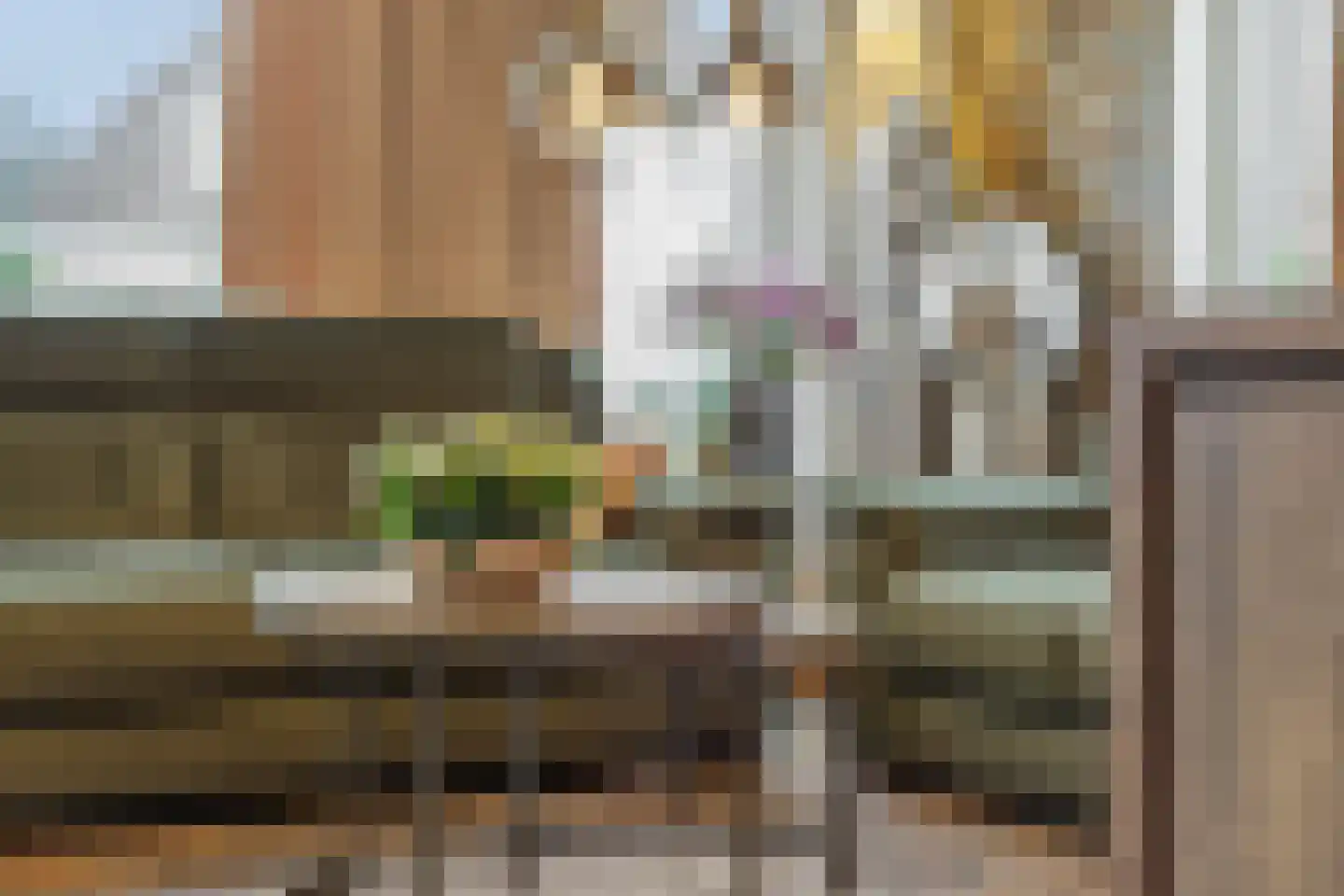 Abelenstraat 7 Geffen thumbnail 4