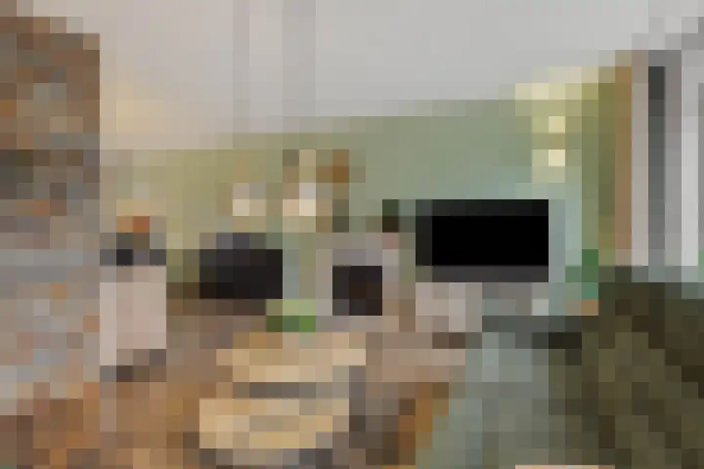 Abelenstraat 7 Geffen thumbnail 5