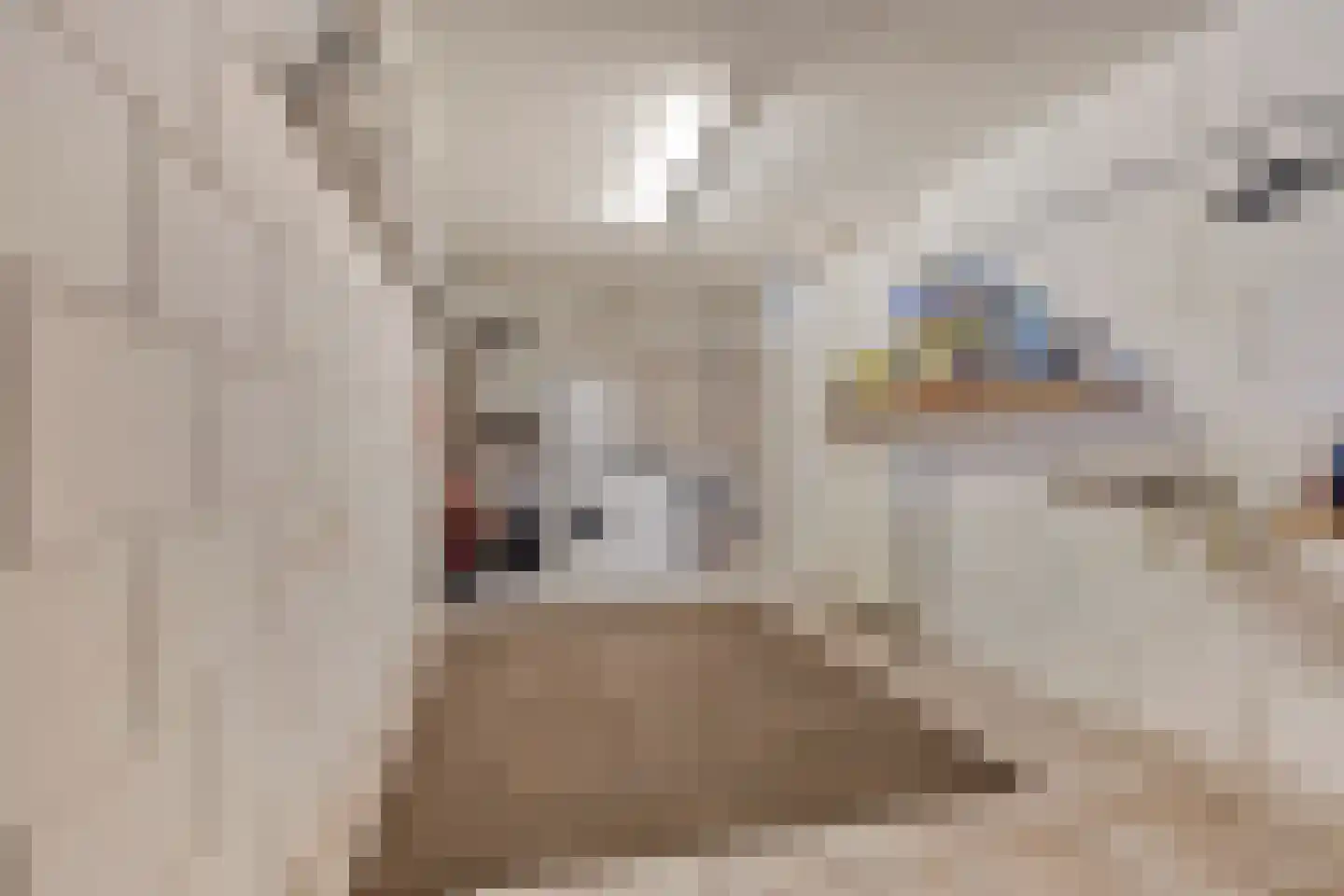 Abelenstraat 8 Geffen thumbnail 20