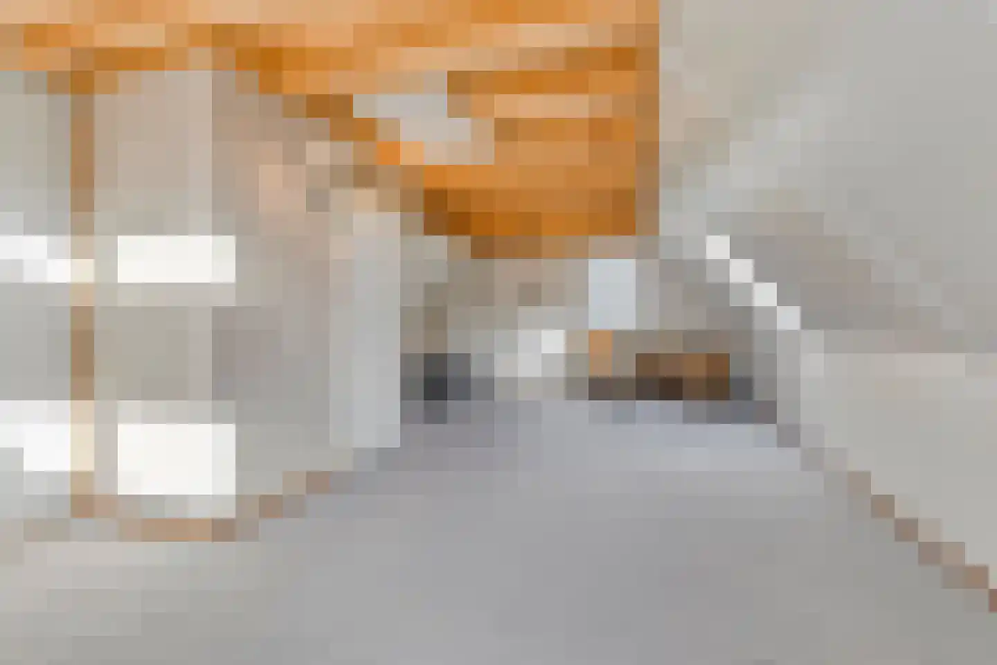 Abelenstraat 8 Geffen thumbnail 25