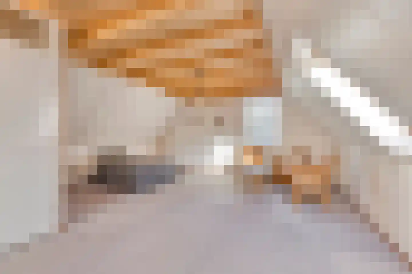 Abelenstraat 8 Geffen thumbnail 26