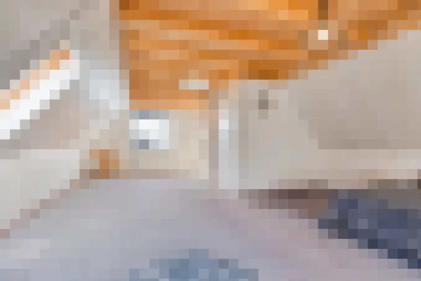 Abelenstraat 8 Geffen thumbnail 29