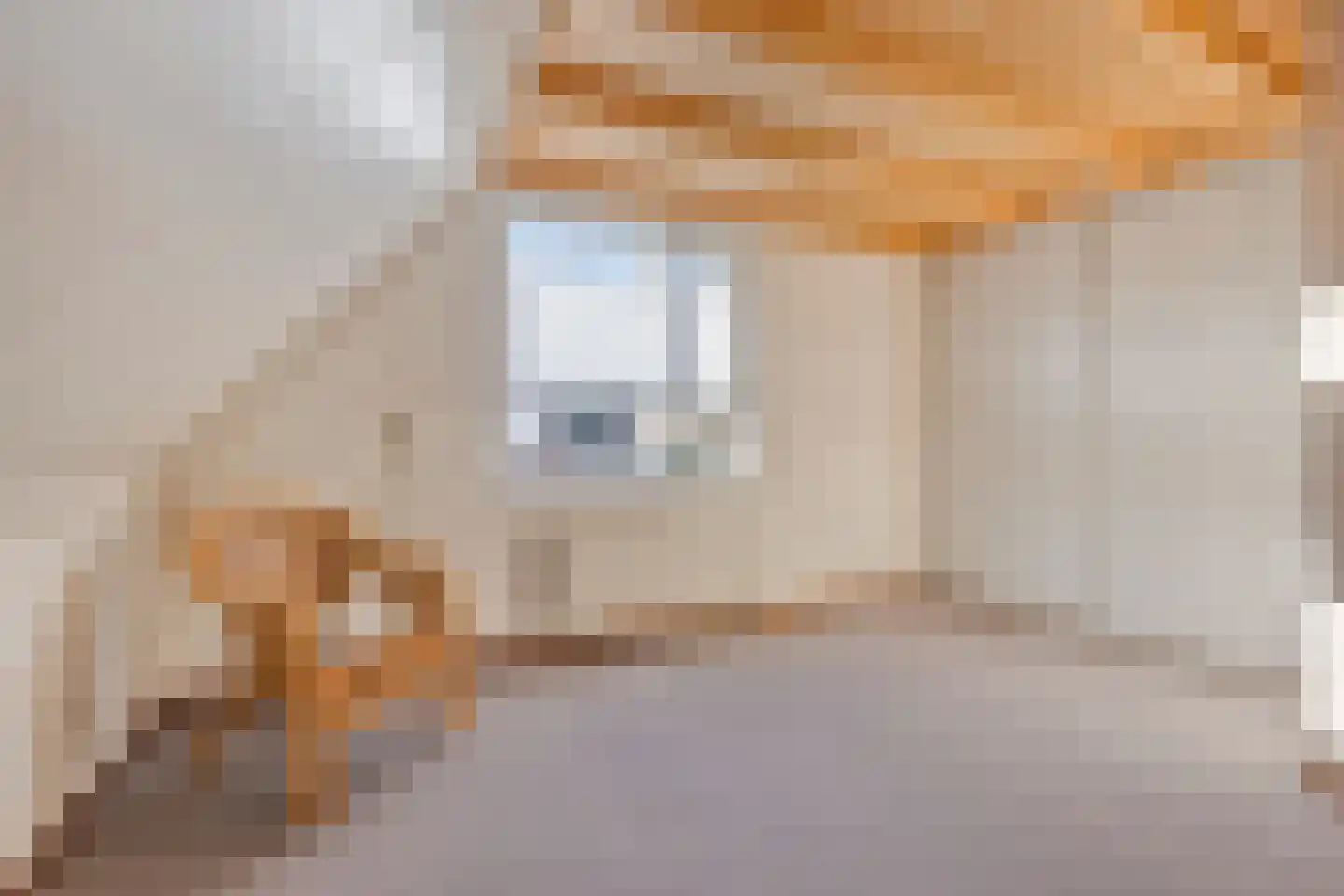 Abelenstraat 8 Geffen thumbnail 30
