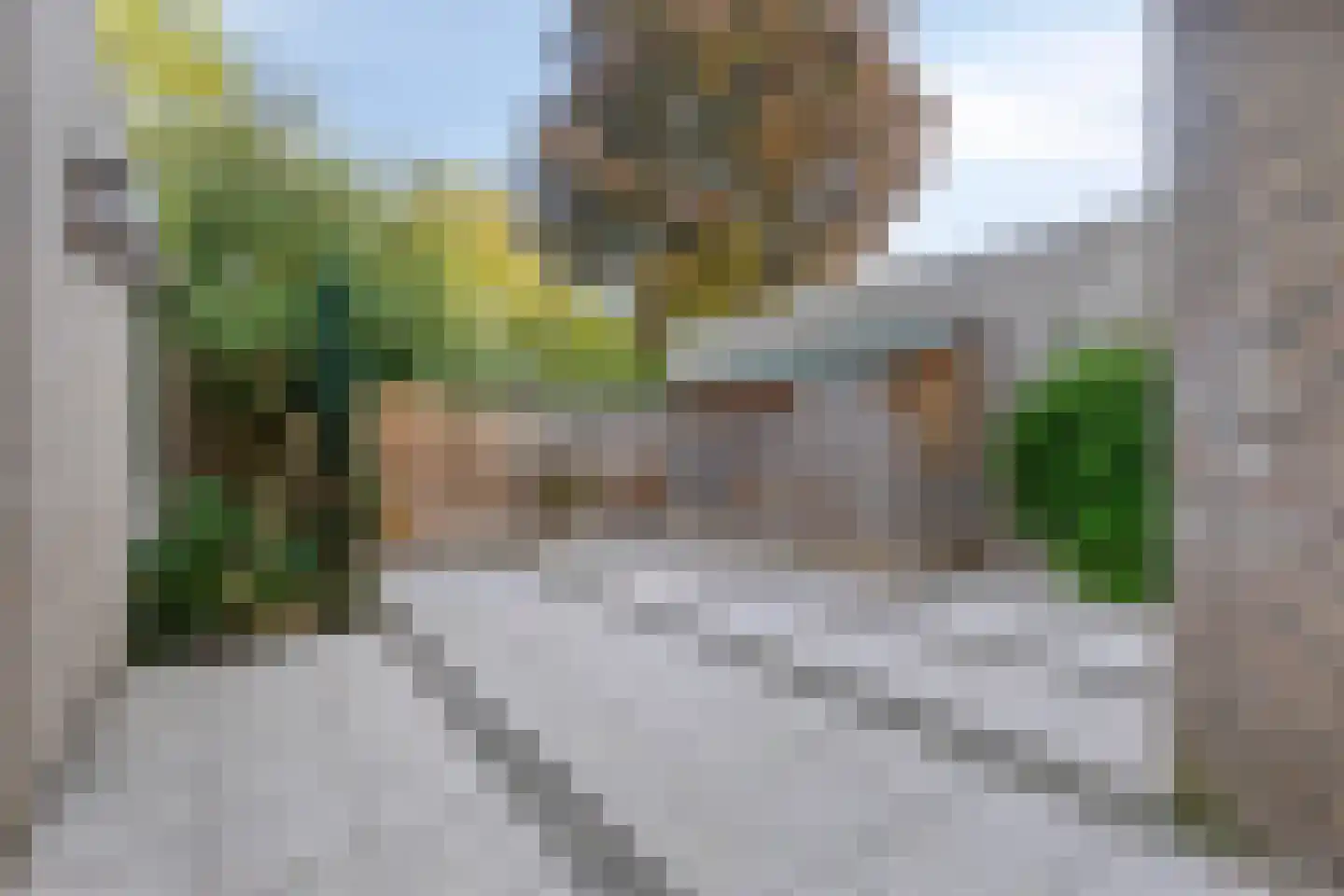Abelenstraat 8 Geffen thumbnail 32