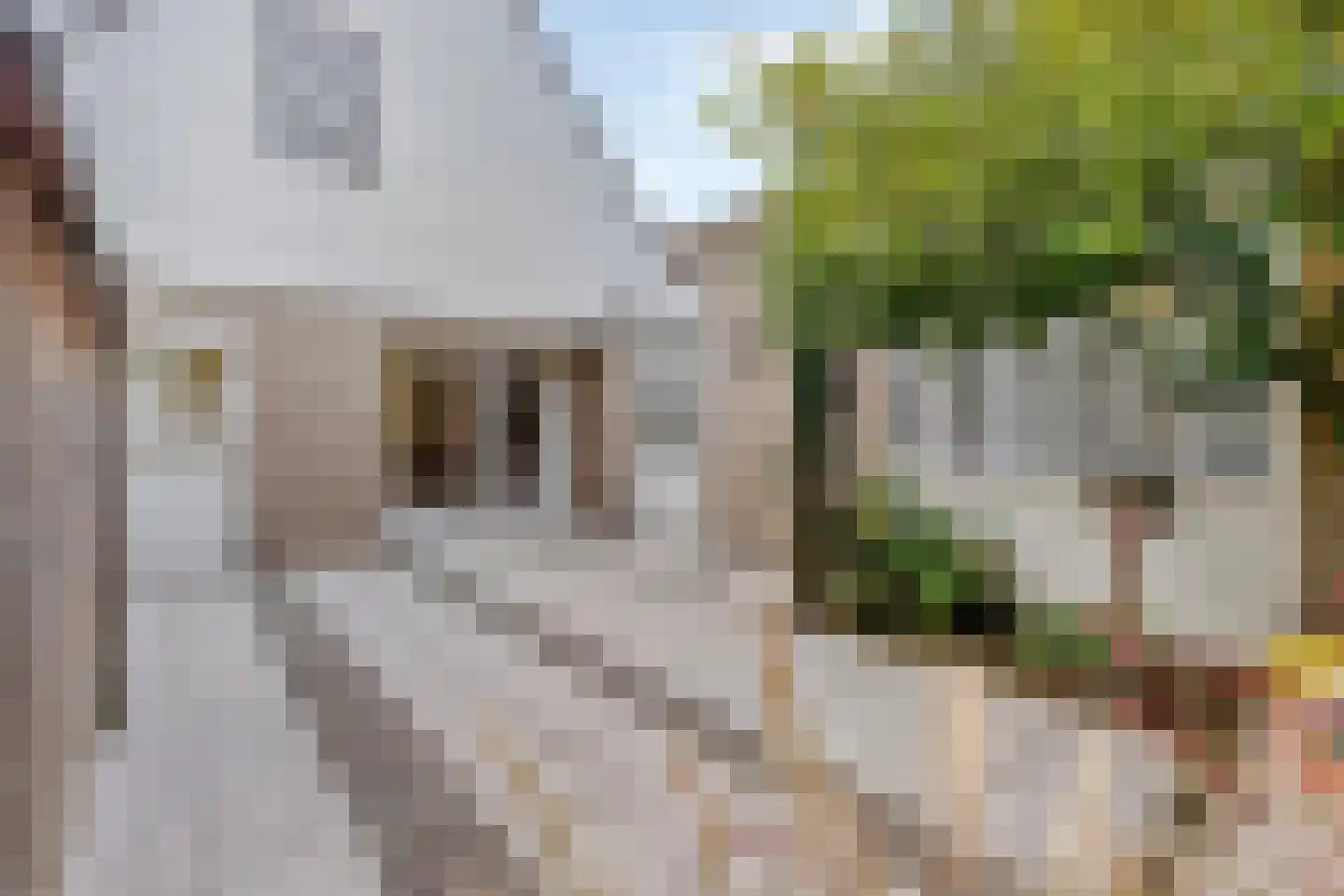 Abelenstraat 8 Geffen thumbnail 33