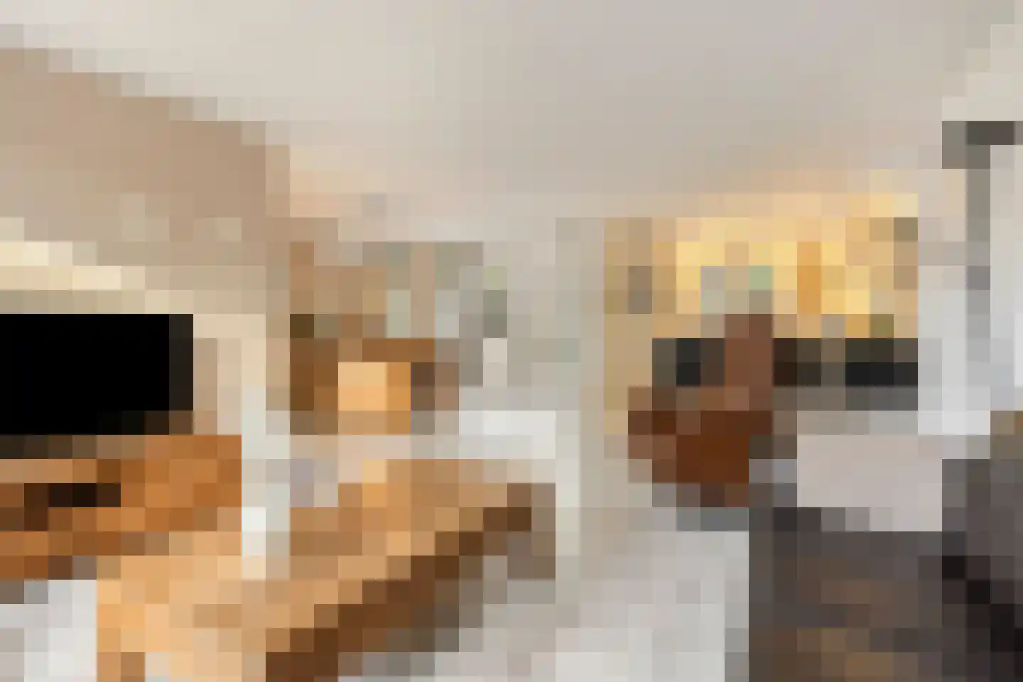 Abelenstraat 8 Geffen thumbnail 4