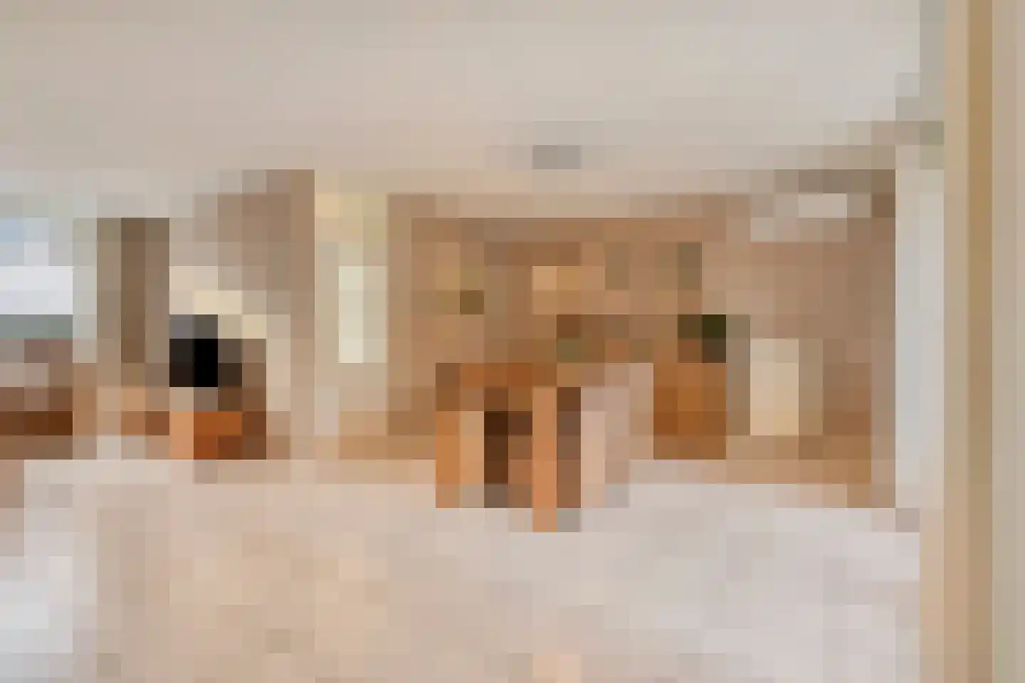 Abelenstraat 8 Geffen thumbnail 7