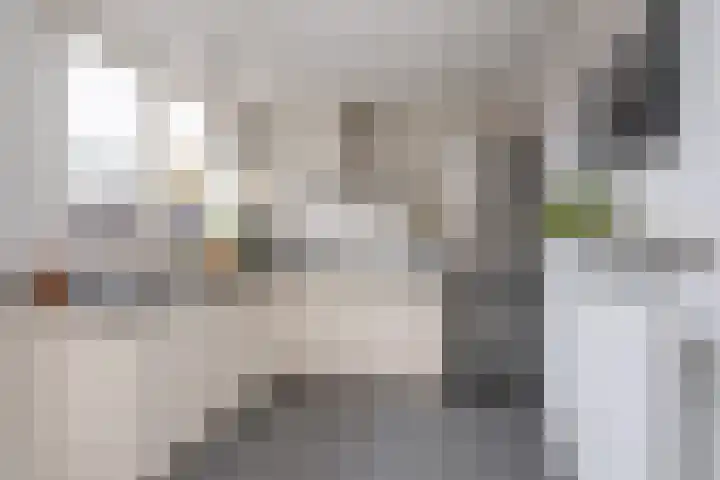 Abelenstraat 8 Hengelo thumbnail 11