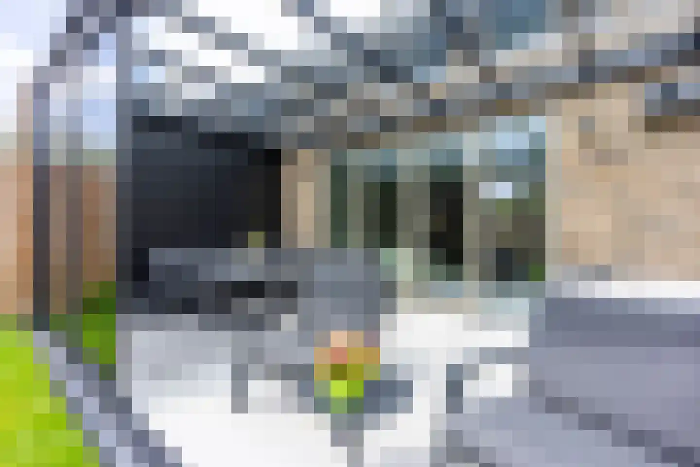 Abeliaerf 16 Hoef en Haag thumbnail 28