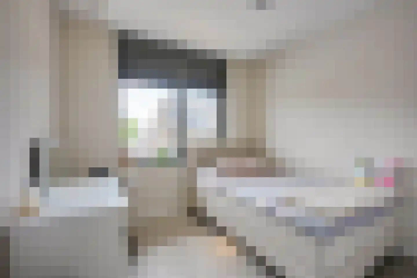 Abeliaerf 16 Hoef en Haag thumbnail 36
