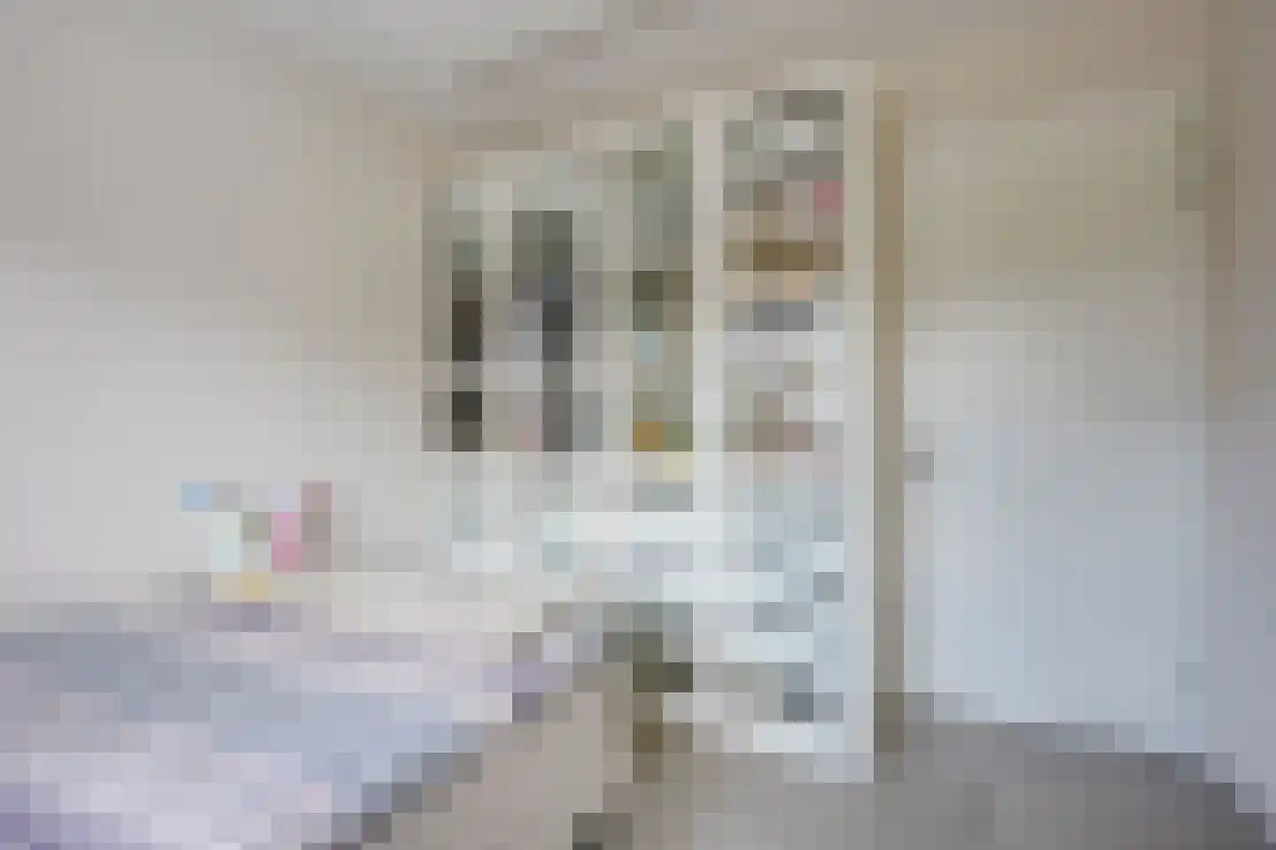 Abeliaerf 16 Hoef en Haag thumbnail 37