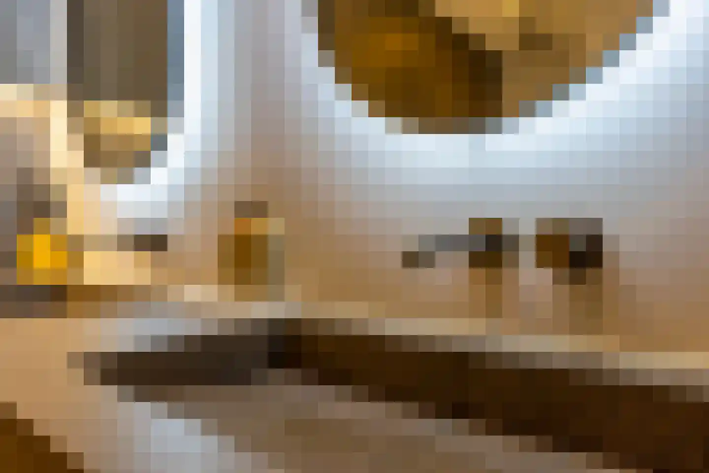 Abeliaerf 16 Hoef en Haag thumbnail 48
