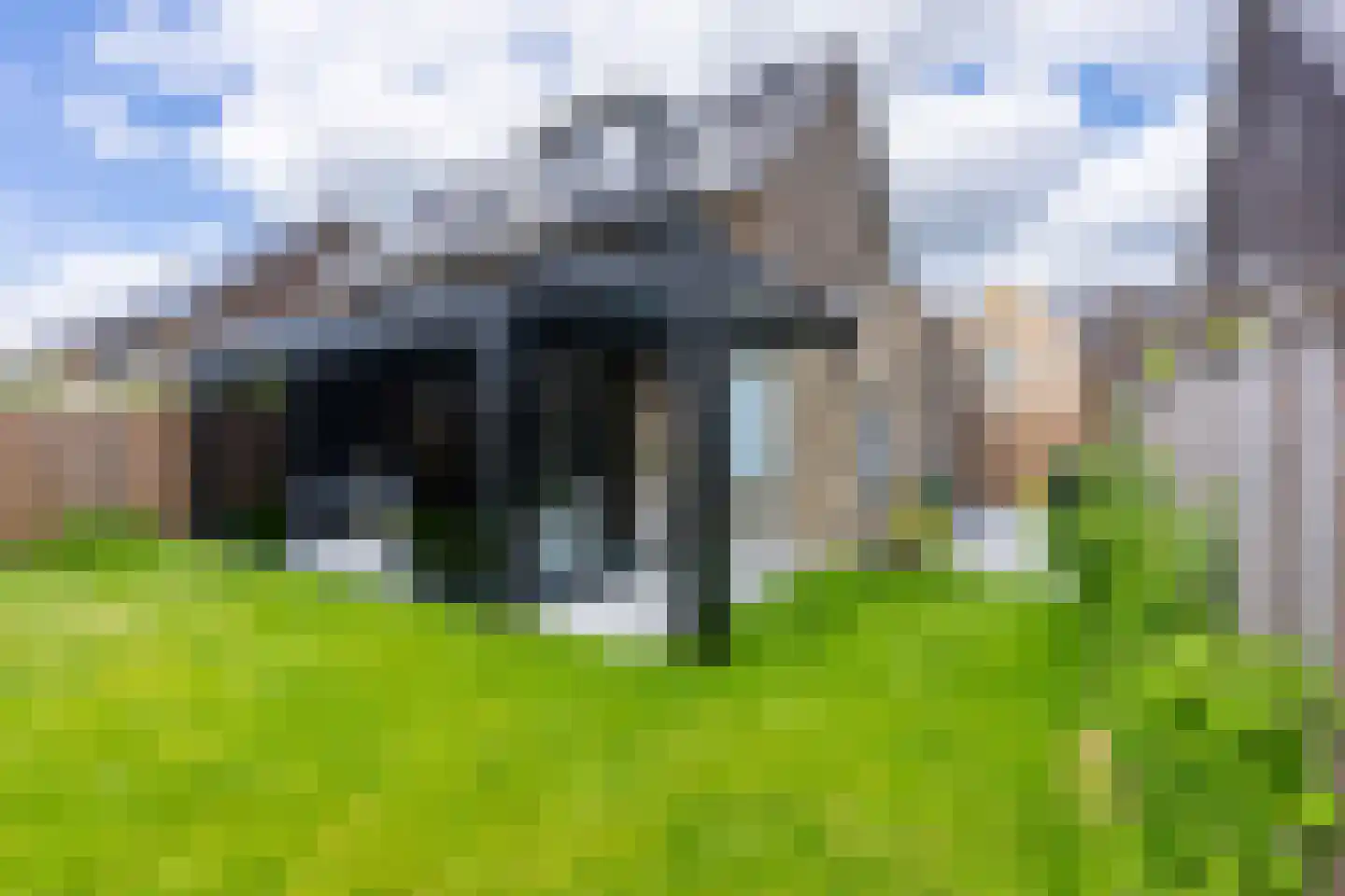 Abeliaerf 16 Hoef en Haag thumbnail 5