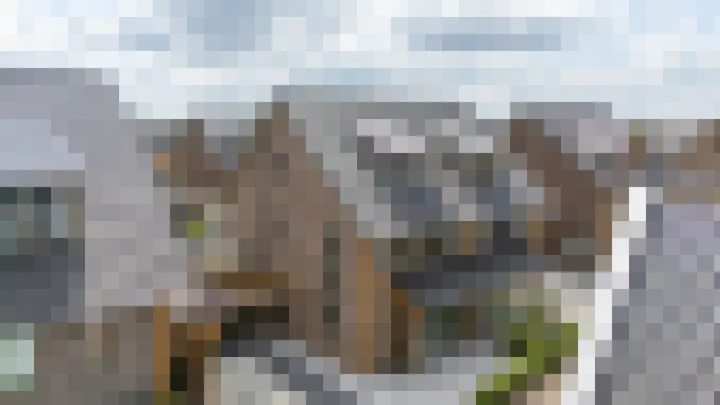 Abeliaerf 16 Hoef en Haag thumbnail 56