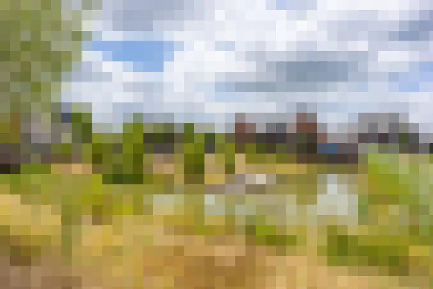 Abeliaerf 16 Hoef en Haag thumbnail 63