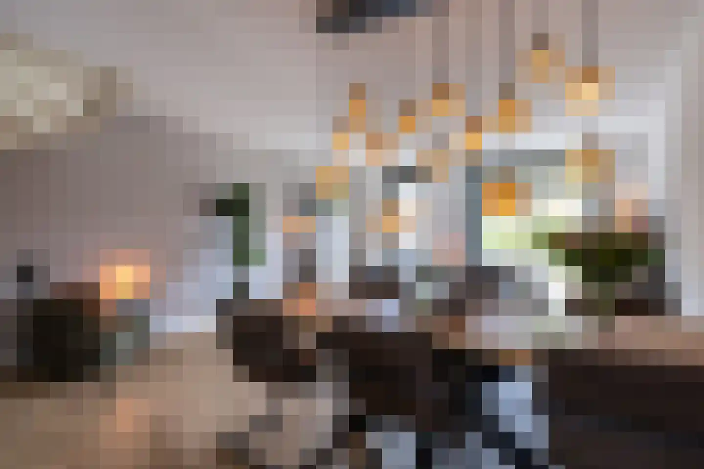 Abeliaerf 2 Hoef en Haag thumbnail 11