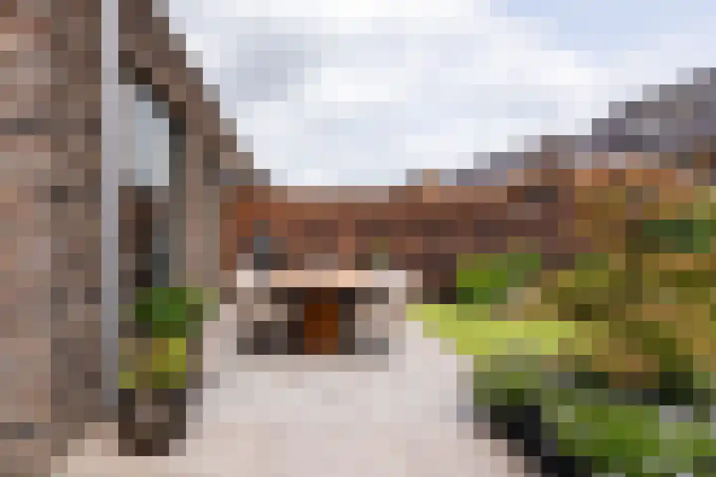 Abeliaerf 2 Hoef en Haag thumbnail 19