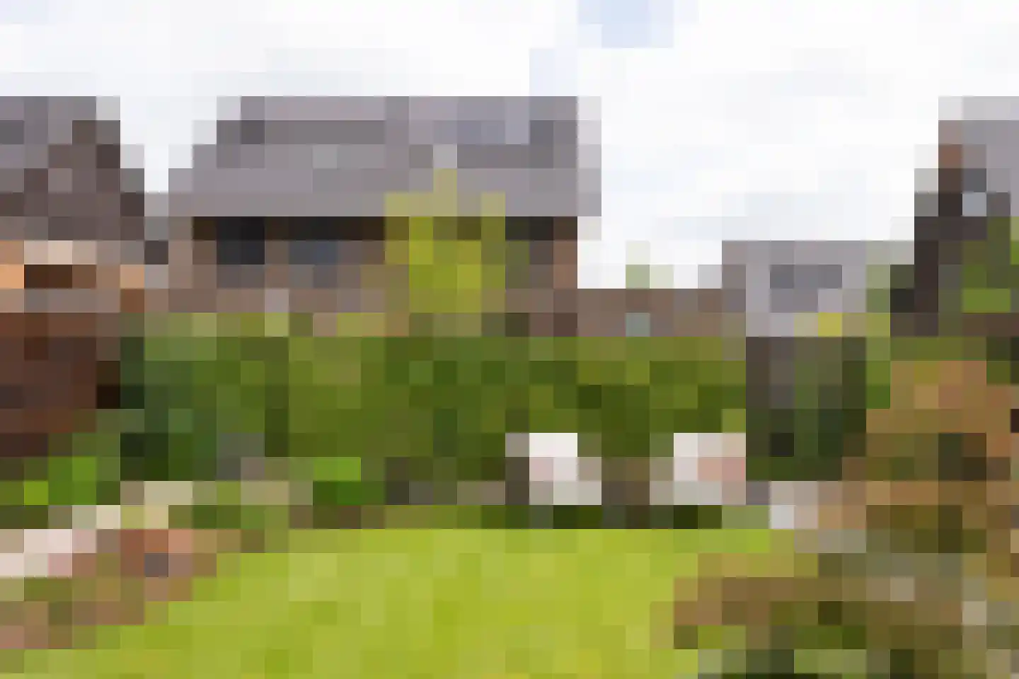Abeliaerf 2 Hoef en Haag thumbnail 22