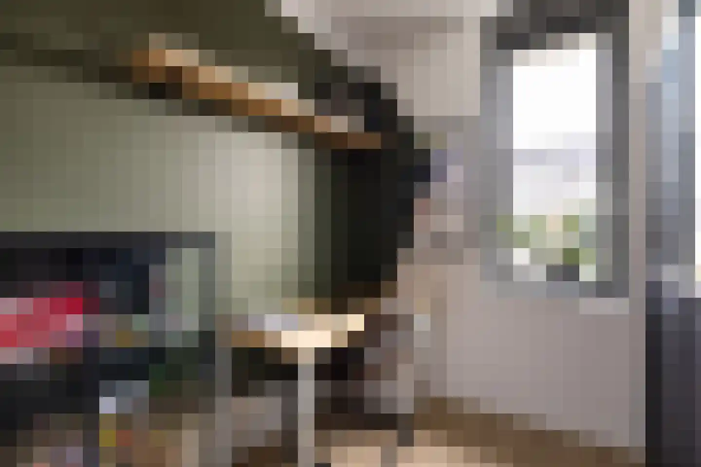 Abeliaerf 2 Hoef en Haag thumbnail 30