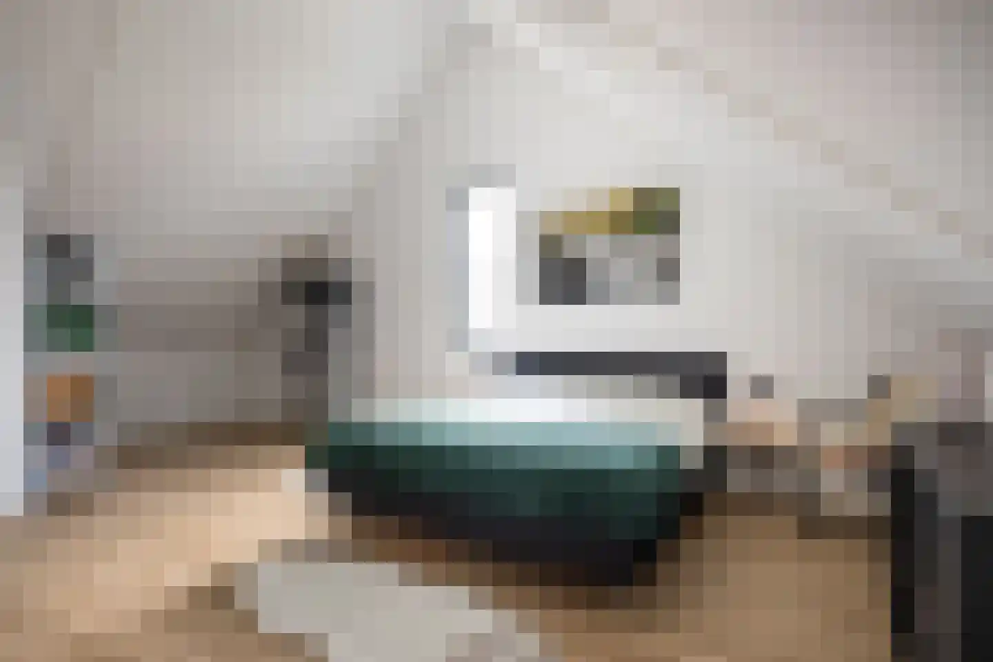Abeliaerf 2 Hoef en Haag thumbnail 37