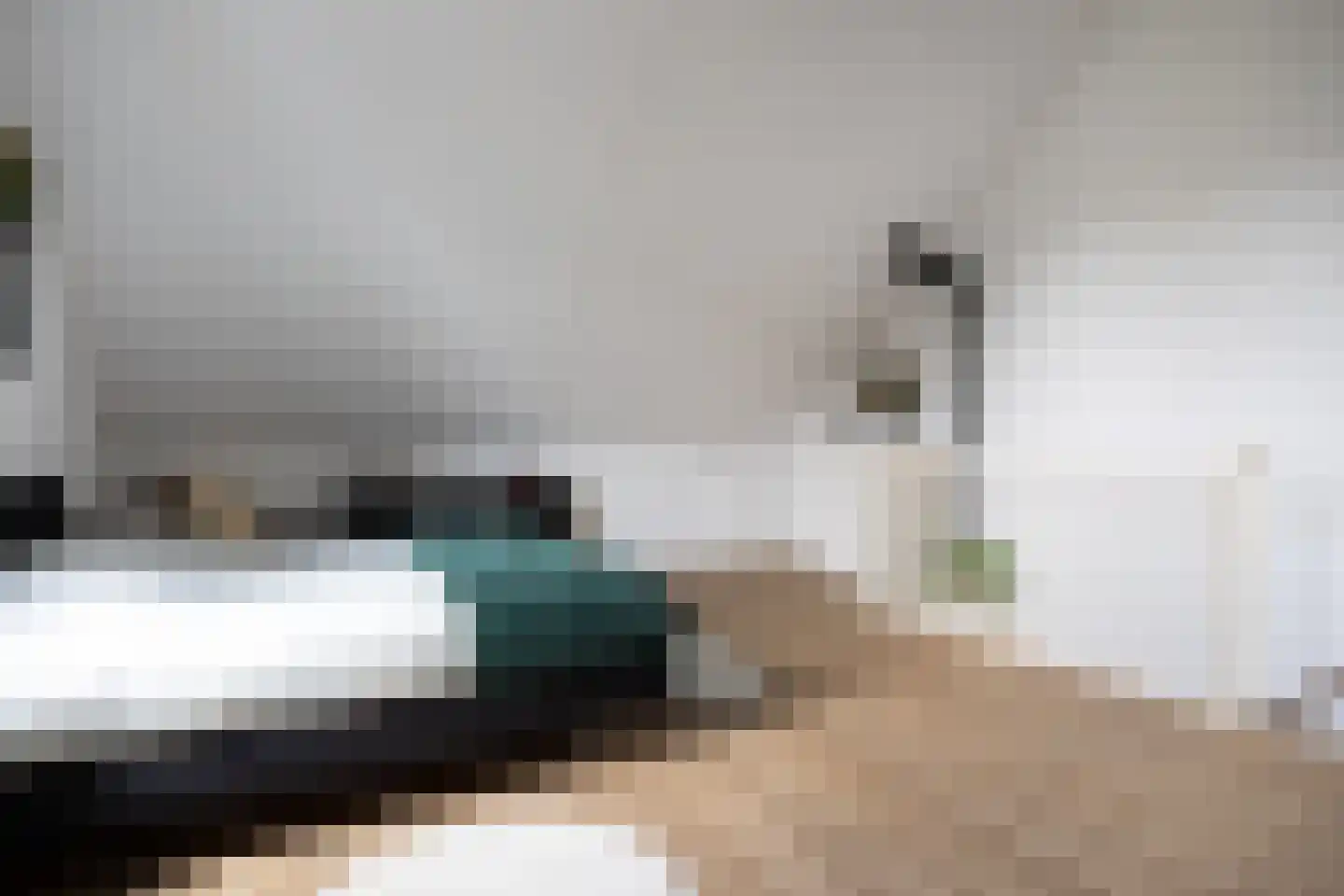 Abeliaerf 2 Hoef en Haag thumbnail 38