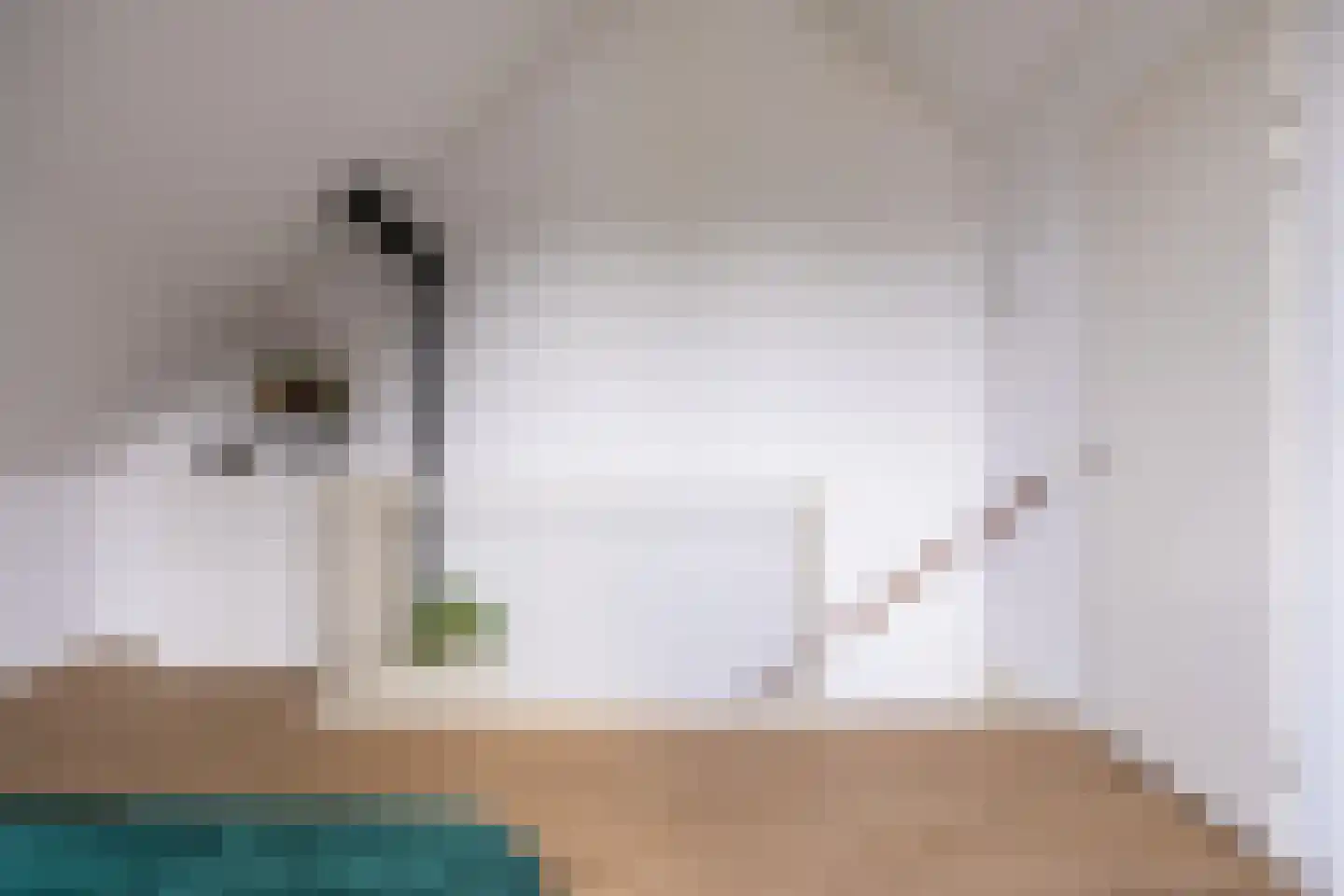 Abeliaerf 2 Hoef en Haag thumbnail 39