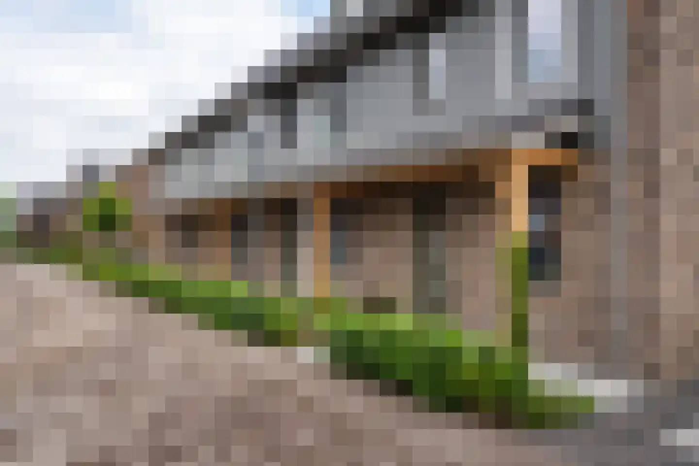 Abeliaerf 2 Hoef en Haag thumbnail 6