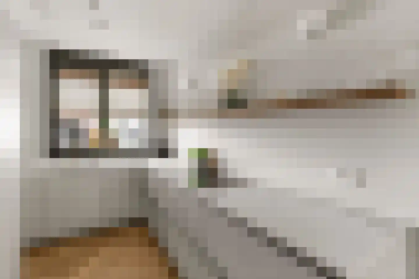 Abeliaerf 8 Hoef en Haag thumbnail 11