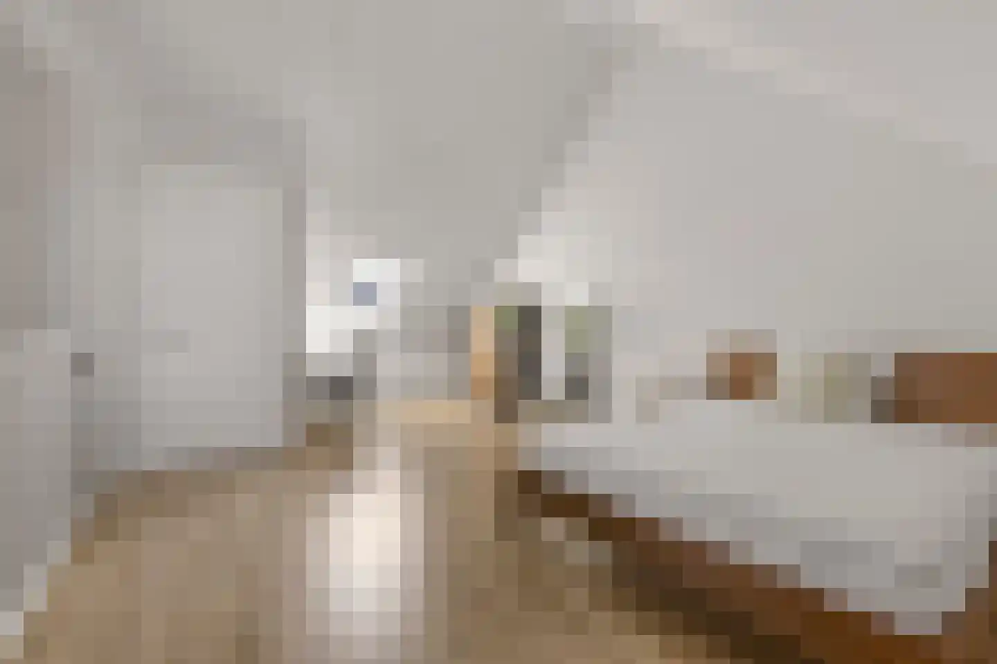 Abeliaerf 8 Hoef en Haag thumbnail 27