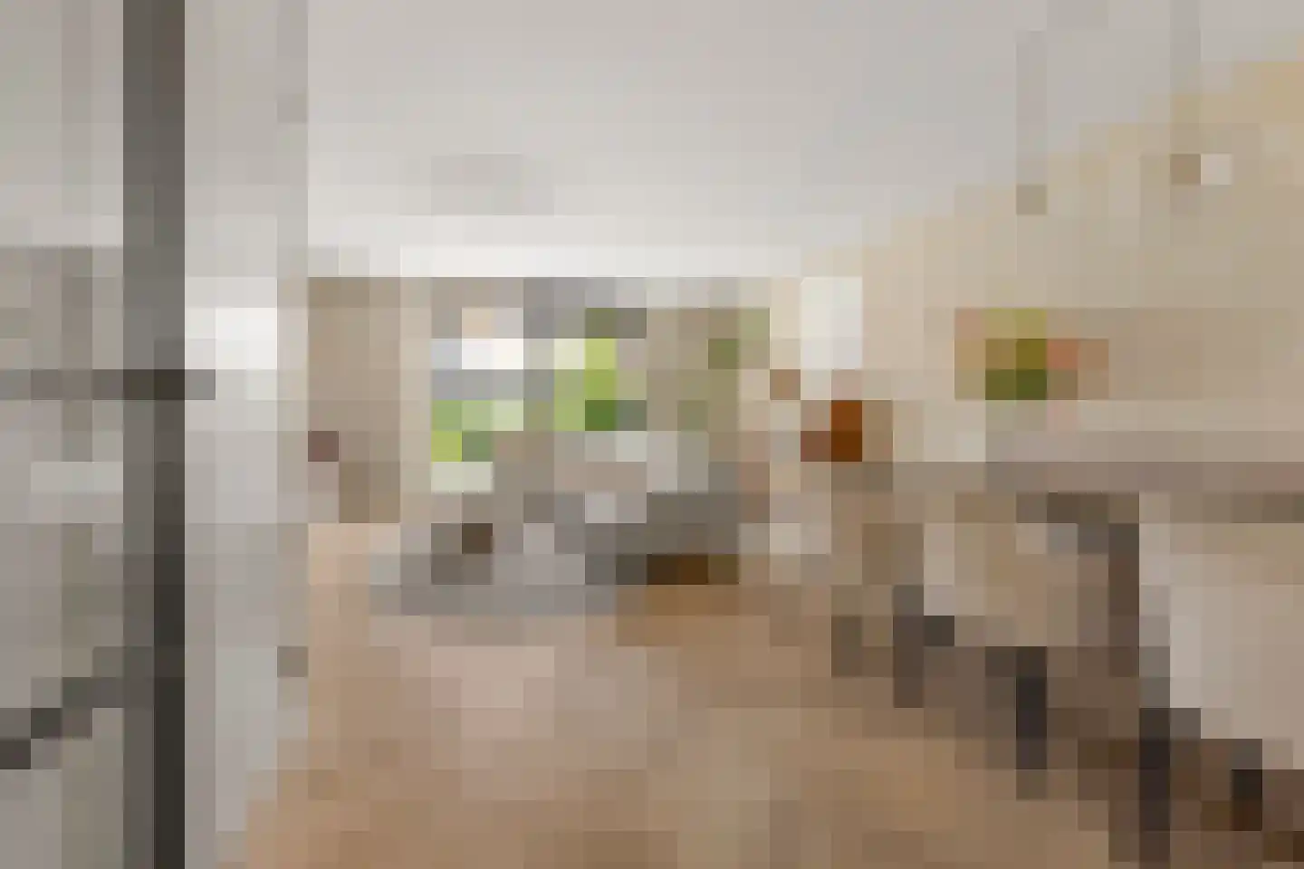 Abeliaerf 8 Hoef en Haag thumbnail 4
