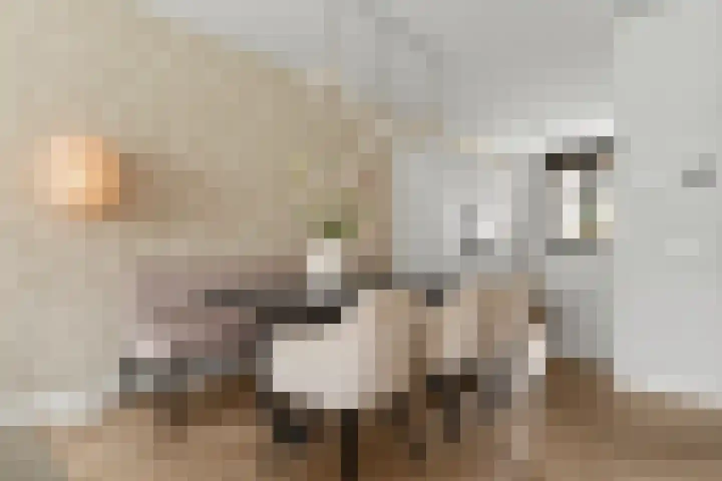 Abeliaerf 8 Hoef en Haag thumbnail 8