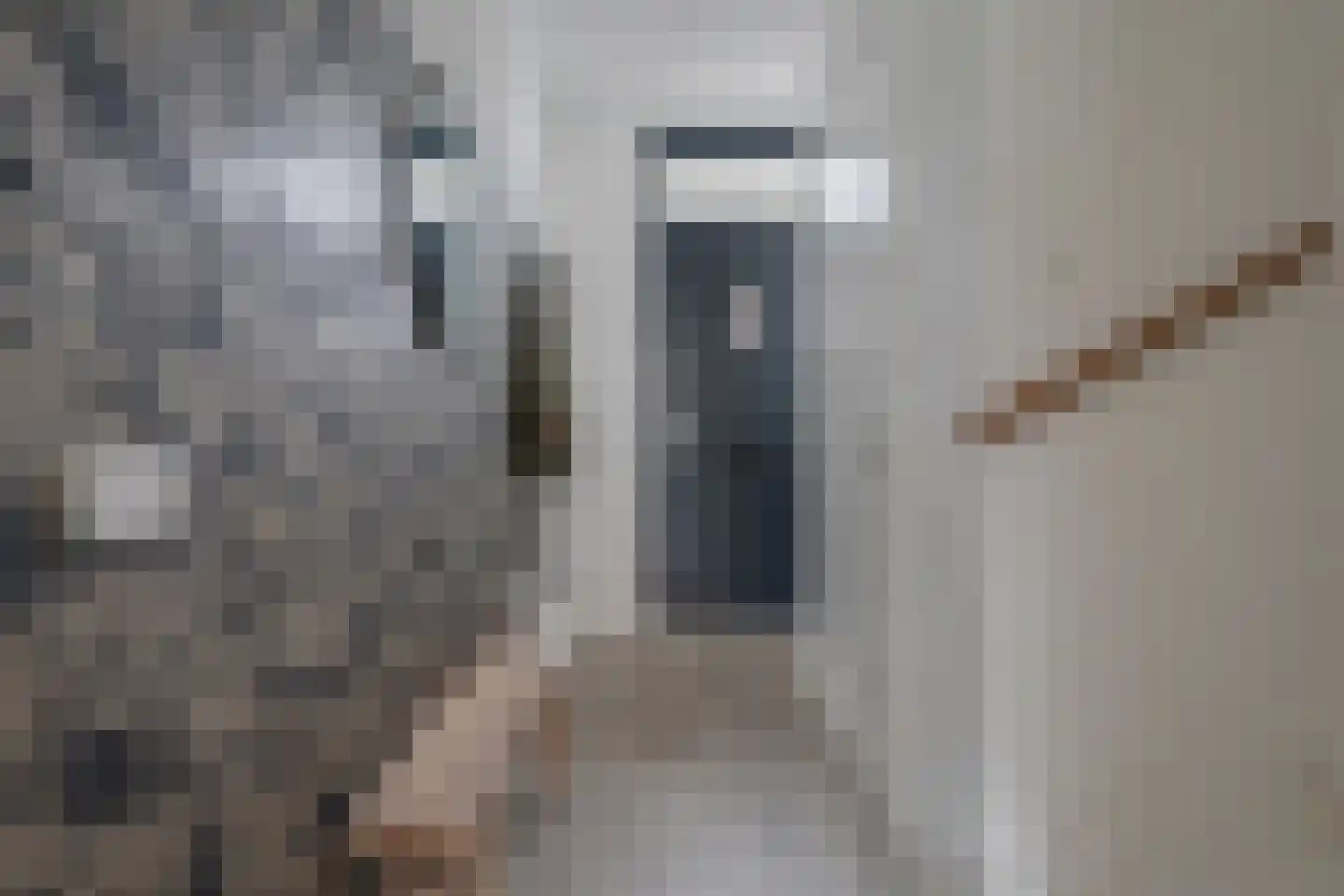 Abendonk 3 Helmond thumbnail 5
