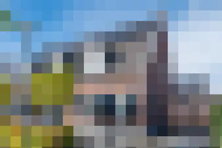 Abendonk 40 Helmond thumbnail 11