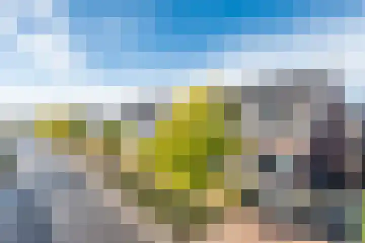 Abendonk 40 Helmond thumbnail 8