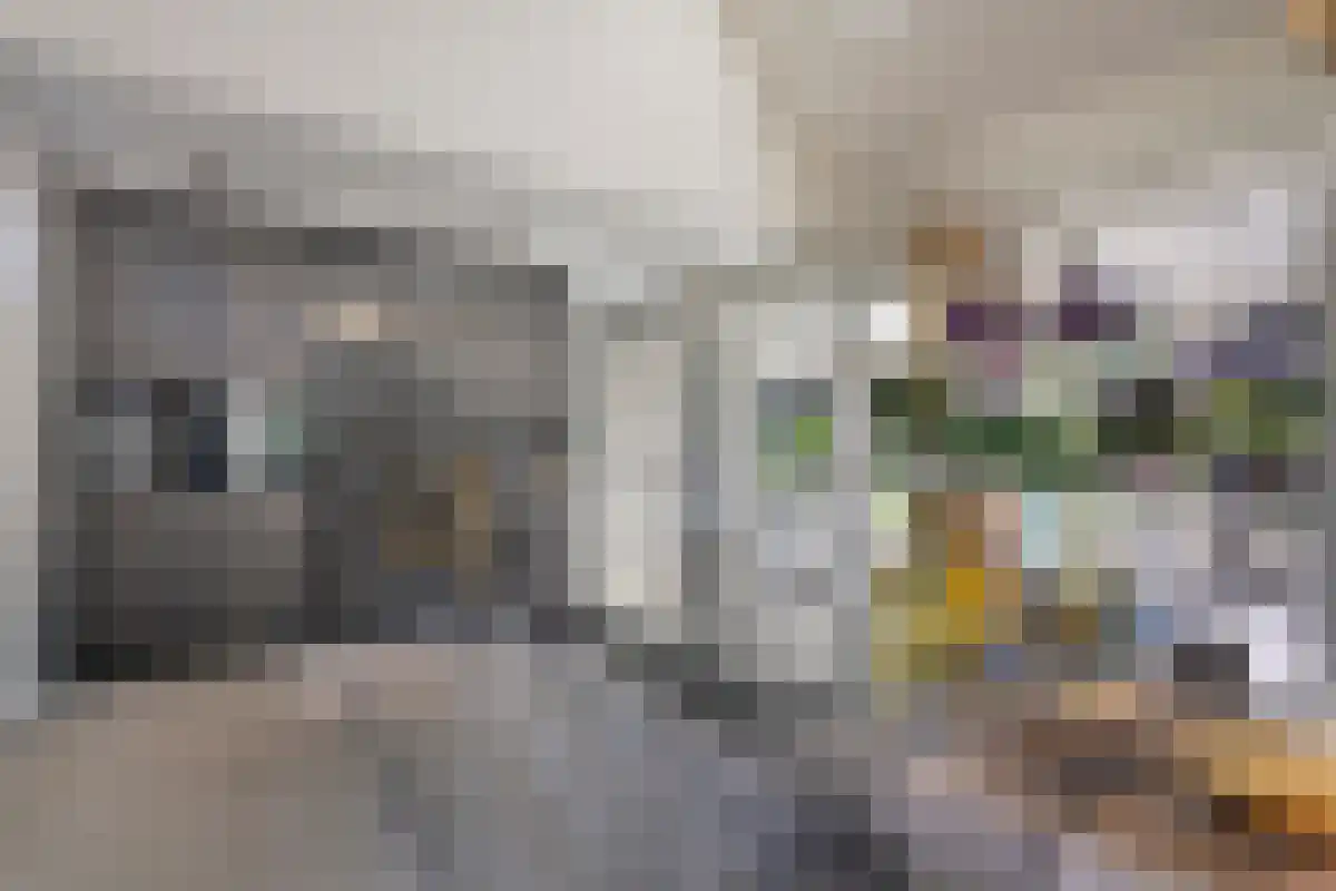 Foto von Abeni van der Steen