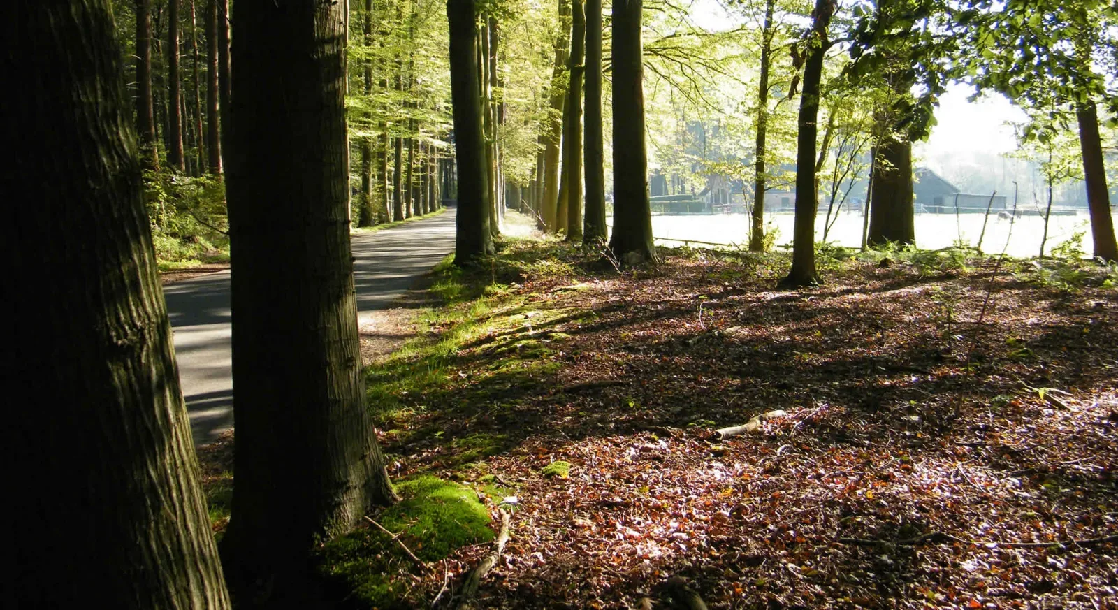 Photo d'équipe de ABerg makelaardij