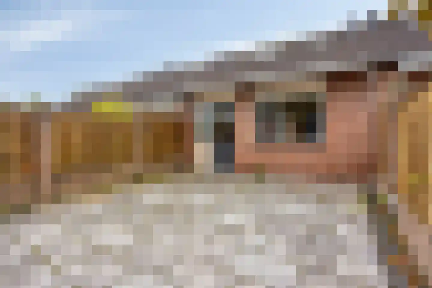 Abersland 1108 Wijchen thumbnail 27