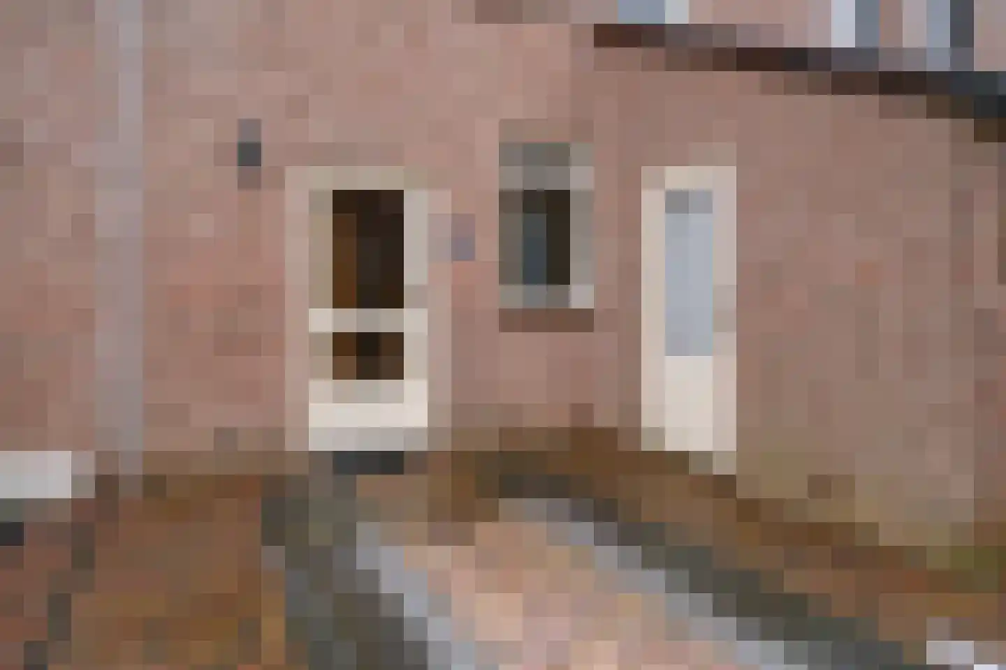 Abersland 1407 Wijchen thumbnail 43