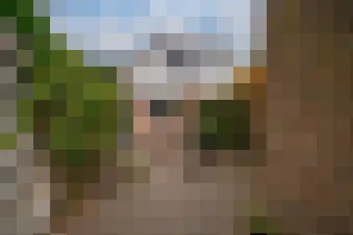 Abersland 1519 Wijchen thumbnail 16