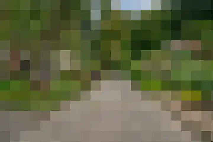 Abersland 1519 Wijchen thumbnail 31