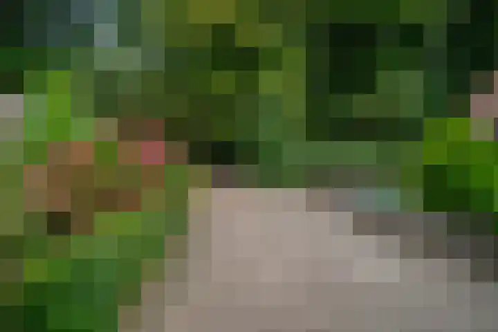 Abersland 1519 Wijchen thumbnail 32