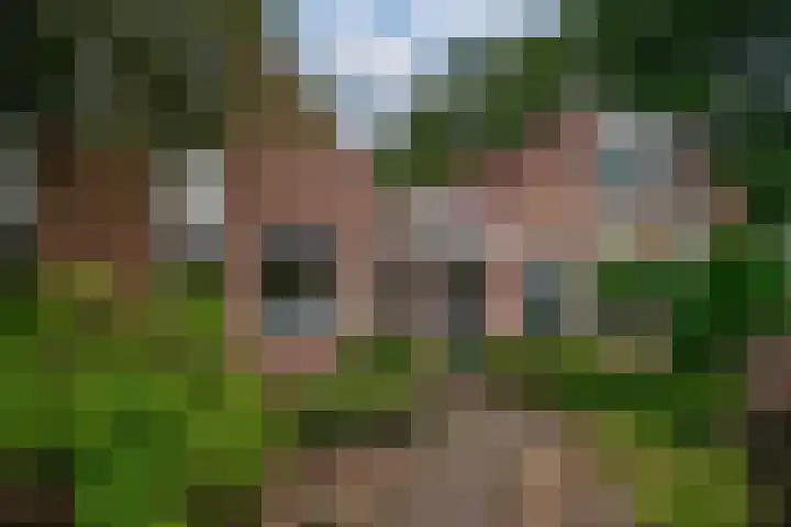 Abersland 1519 Wijchen thumbnail 4