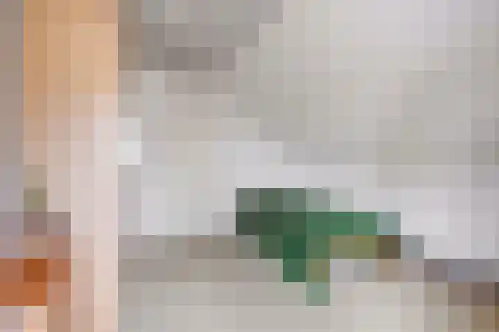 Abersland 1614 Wijchen thumbnail 11
