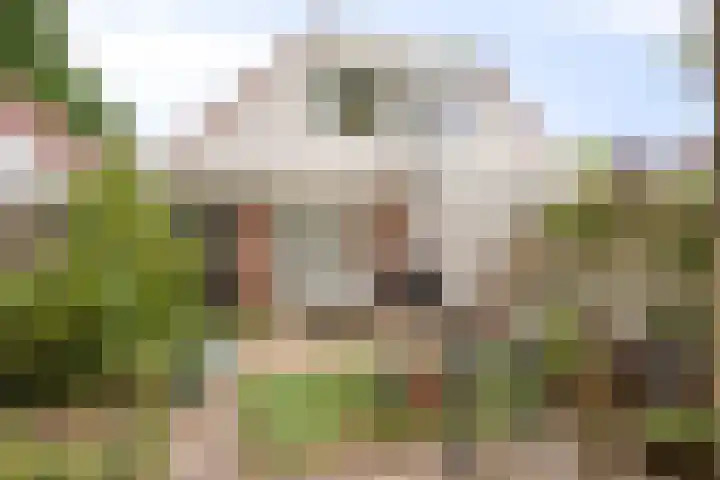 Abersland 1614 Wijchen thumbnail 20