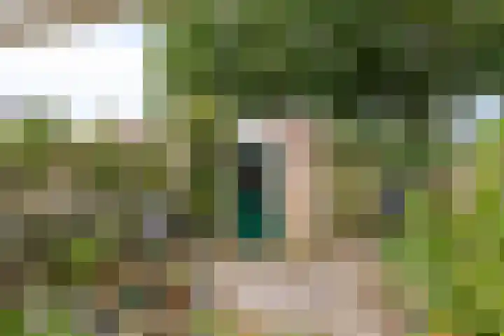 Abersland 1614 Wijchen thumbnail 21