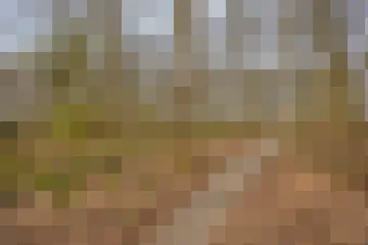 Abersland 1715 Wijchen thumbnail 24