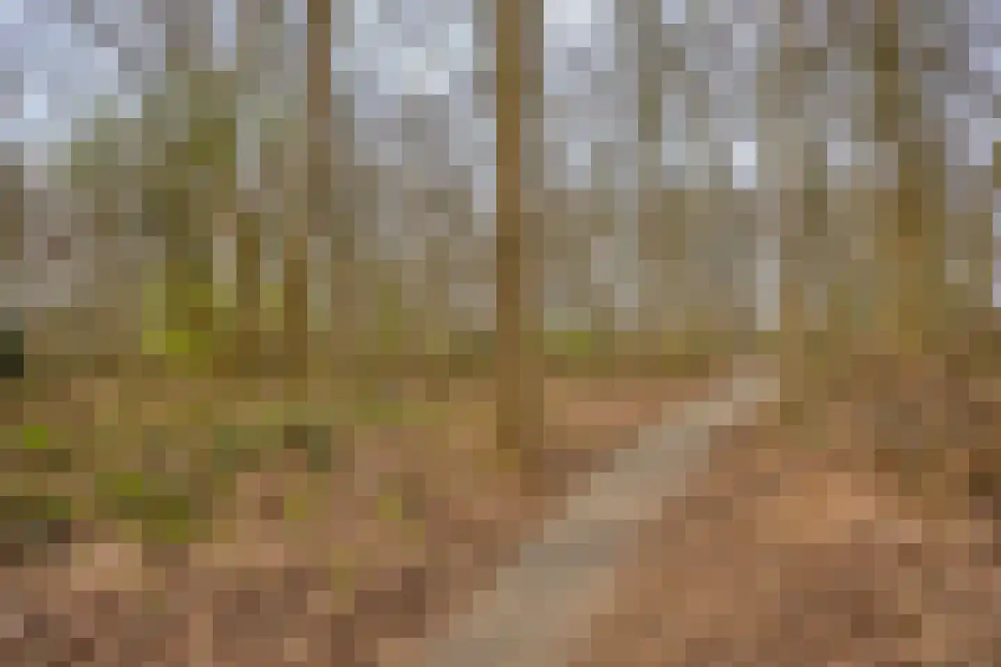 Abersland 1715 Wijchen thumbnail 24