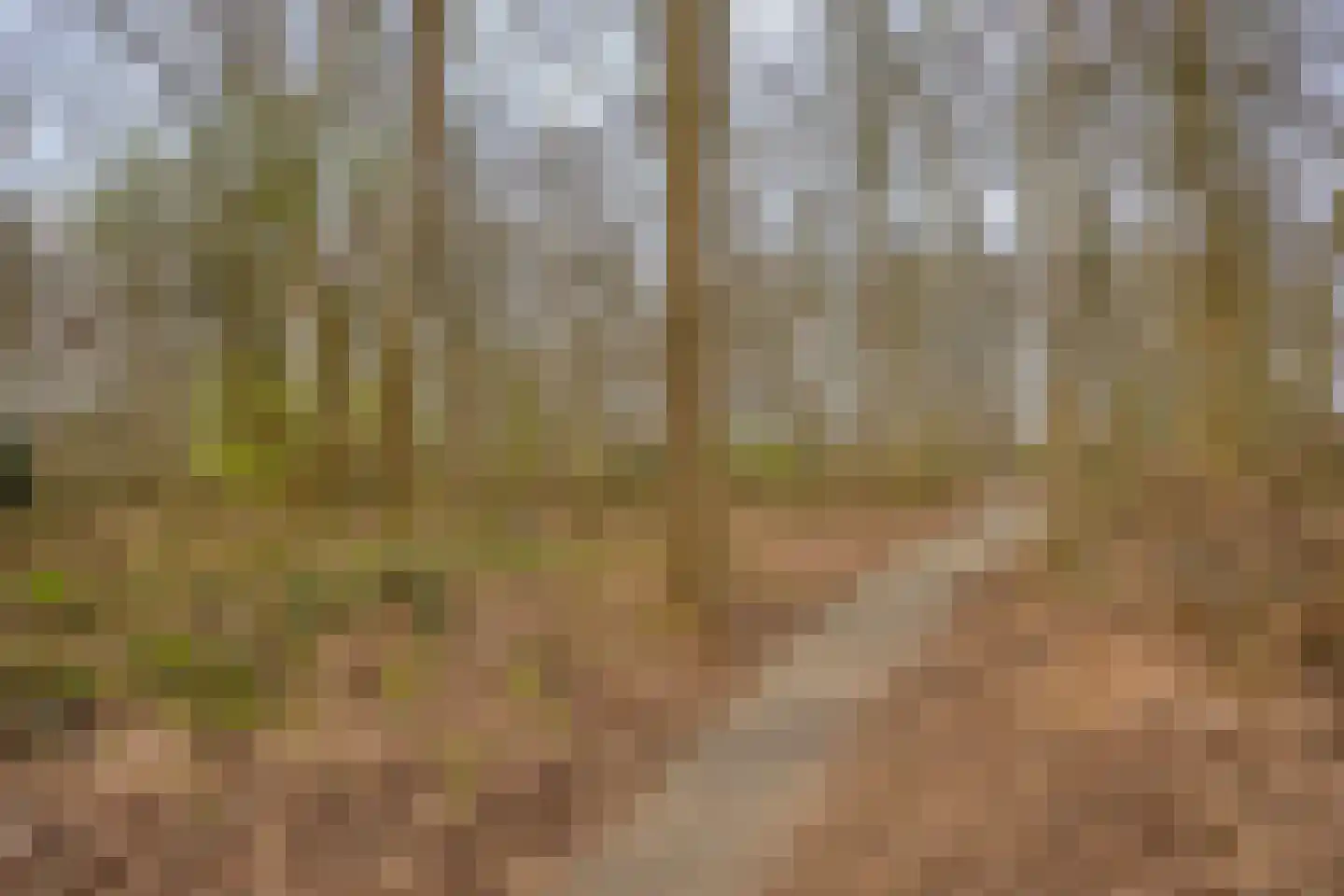 Abersland 1715 Wijchen thumbnail 24