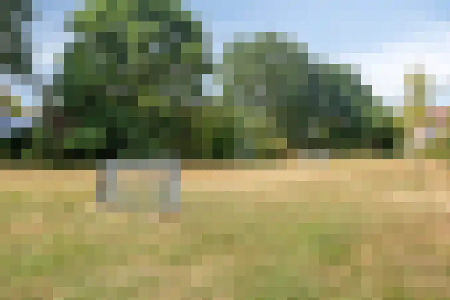 Abersland 1723 Wijchen thumbnail 28
